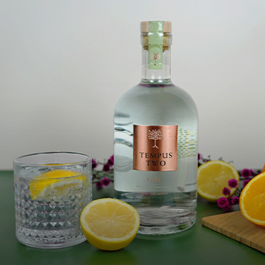 Bottle and a glass of Tempus Two Botanical Gin with lemon