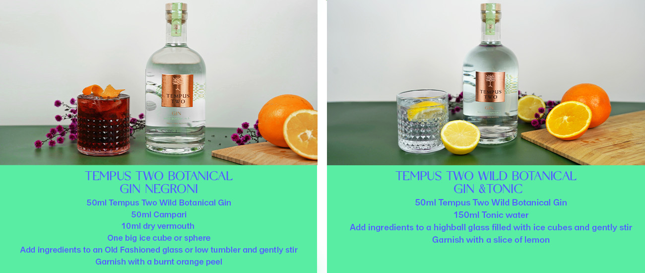 Tempus Two Botanical Gin cocktail recipes